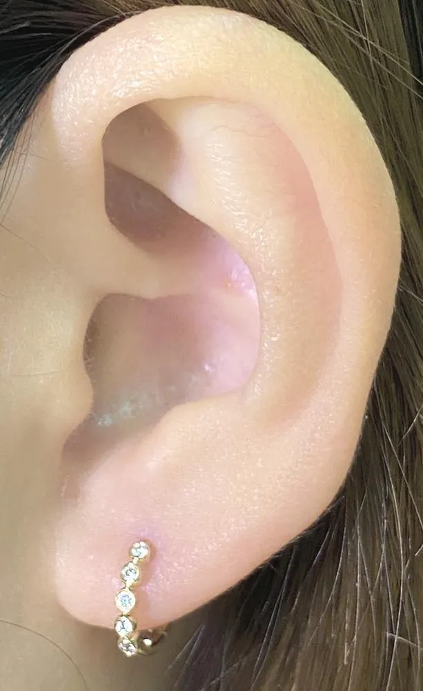 11mm Diamond Earrings CE13
