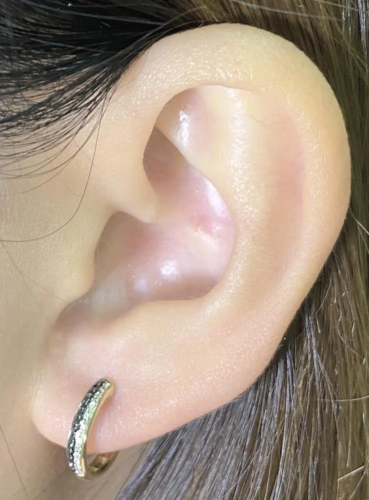 13mm Diamond Earrings CE65-2Y