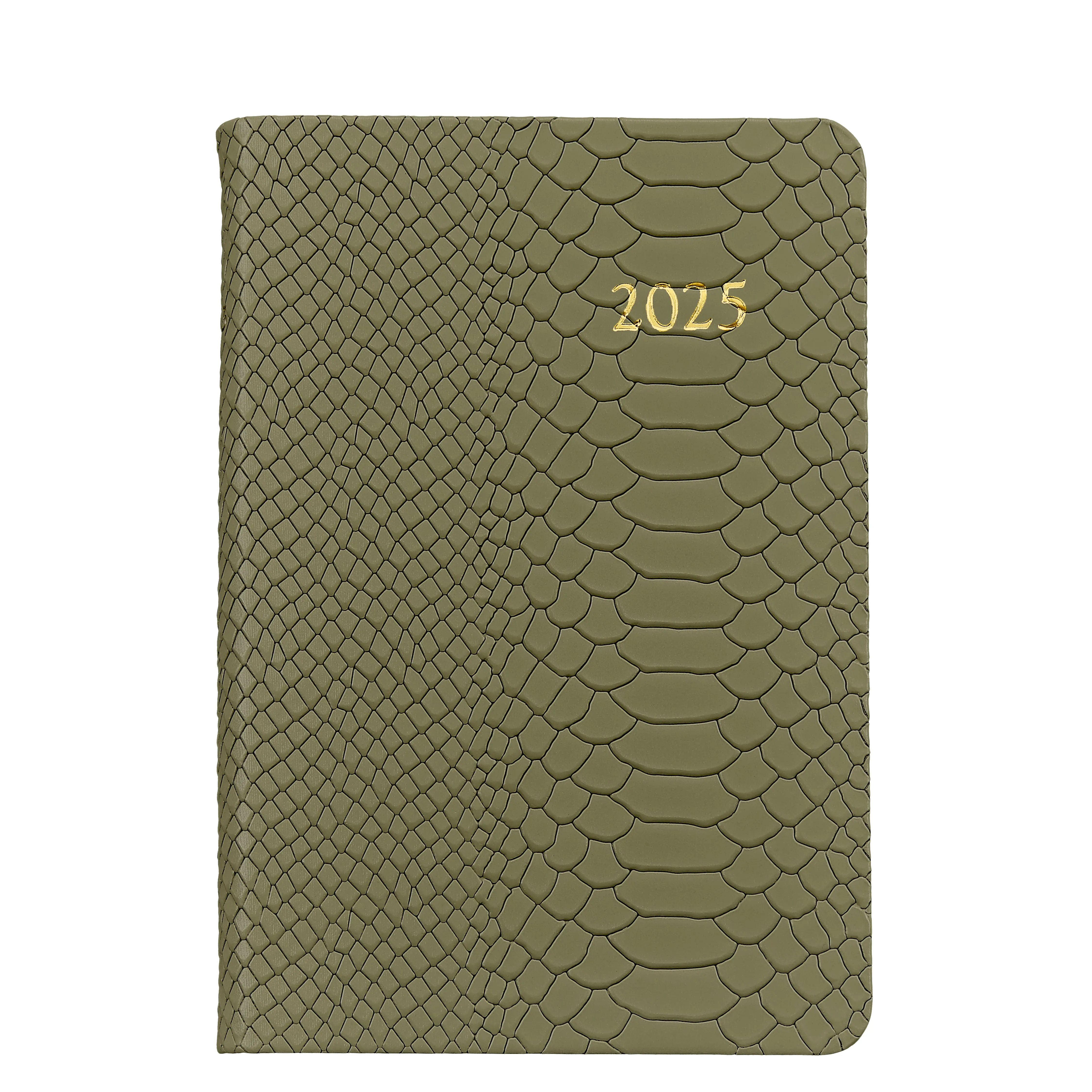 2025 Daily Journal