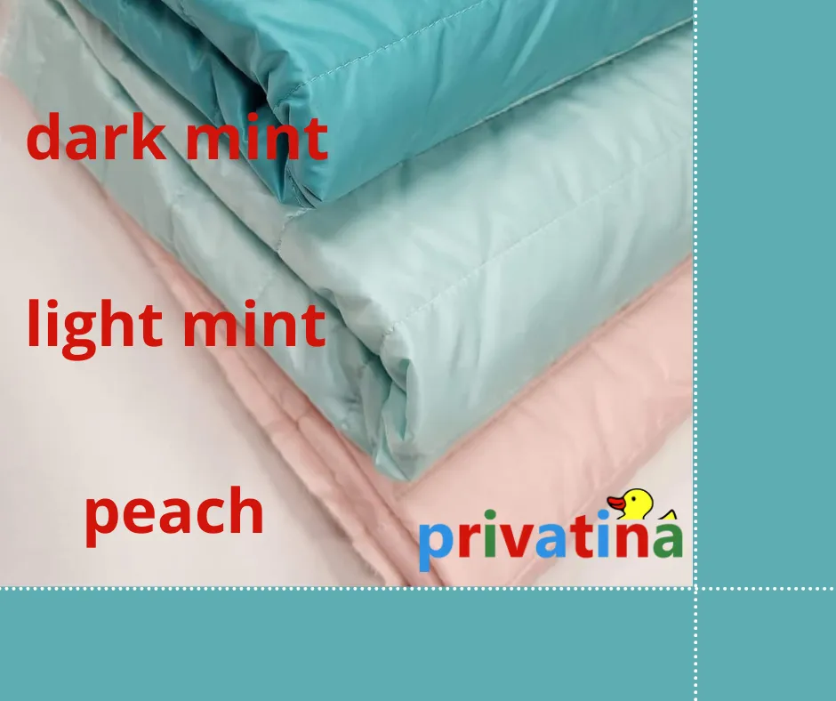 ADULT BABY DIAPER PANTIES LITTLE GIRL