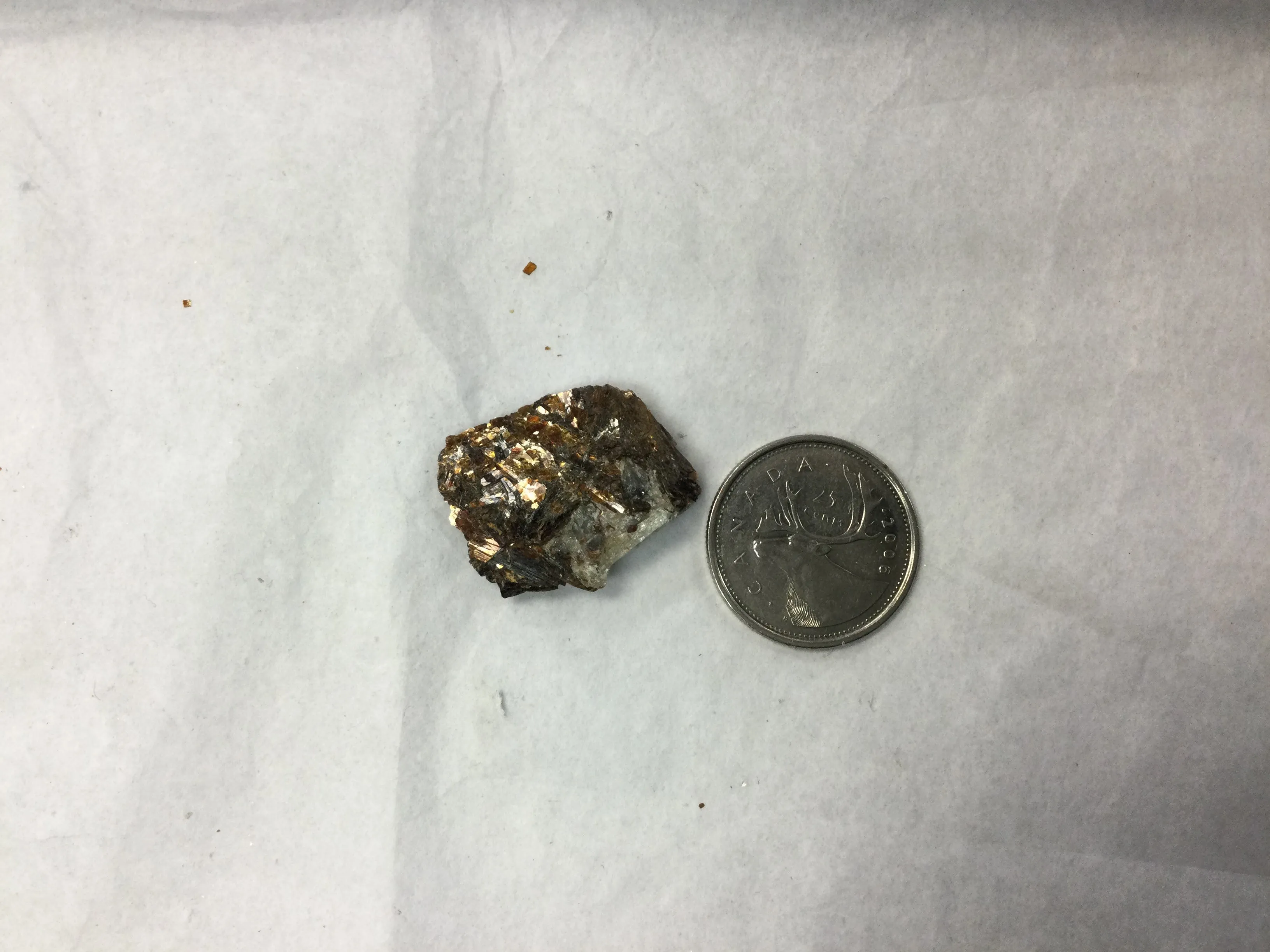 Astrophyllite, tiny