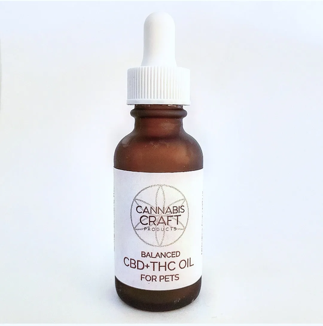 BALANCED 1:1 CBD   THC OIL FOR PETS