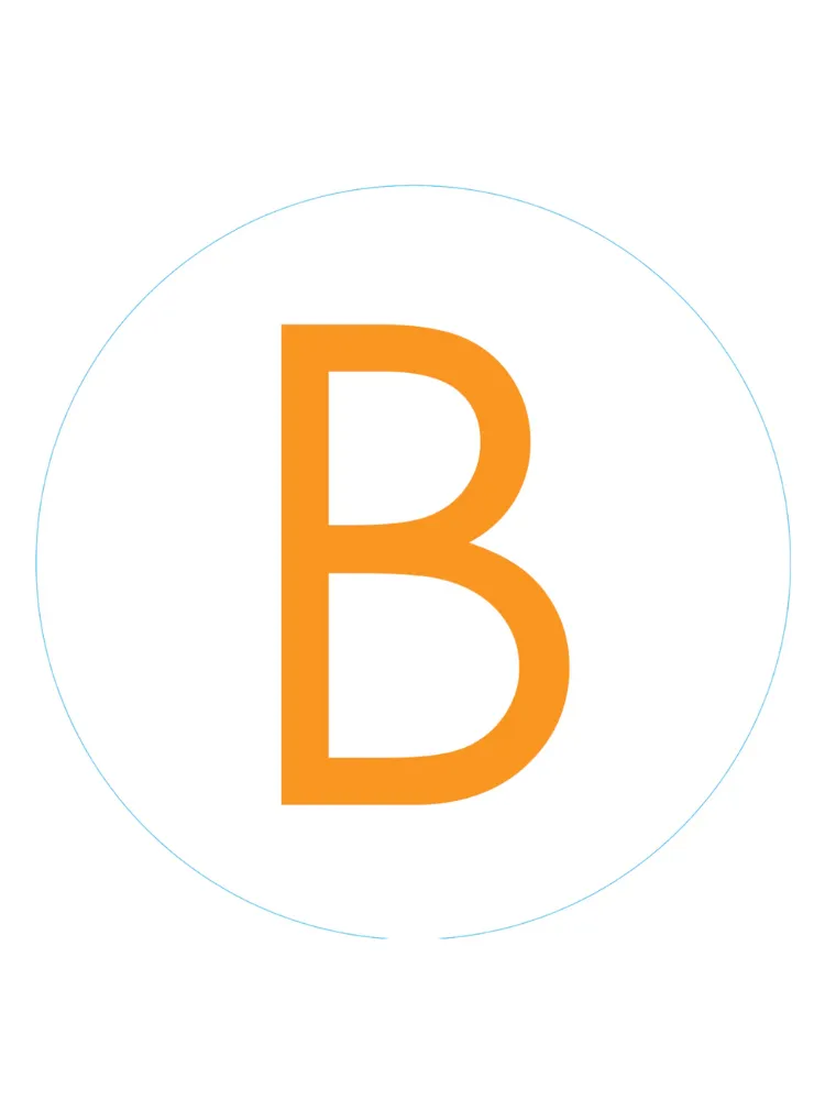 Bogg Bits - Initials