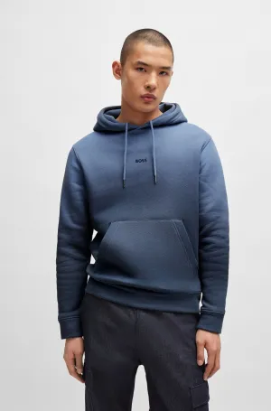 BOSS Hooded Sweatshirt - We_Gradienthoodie