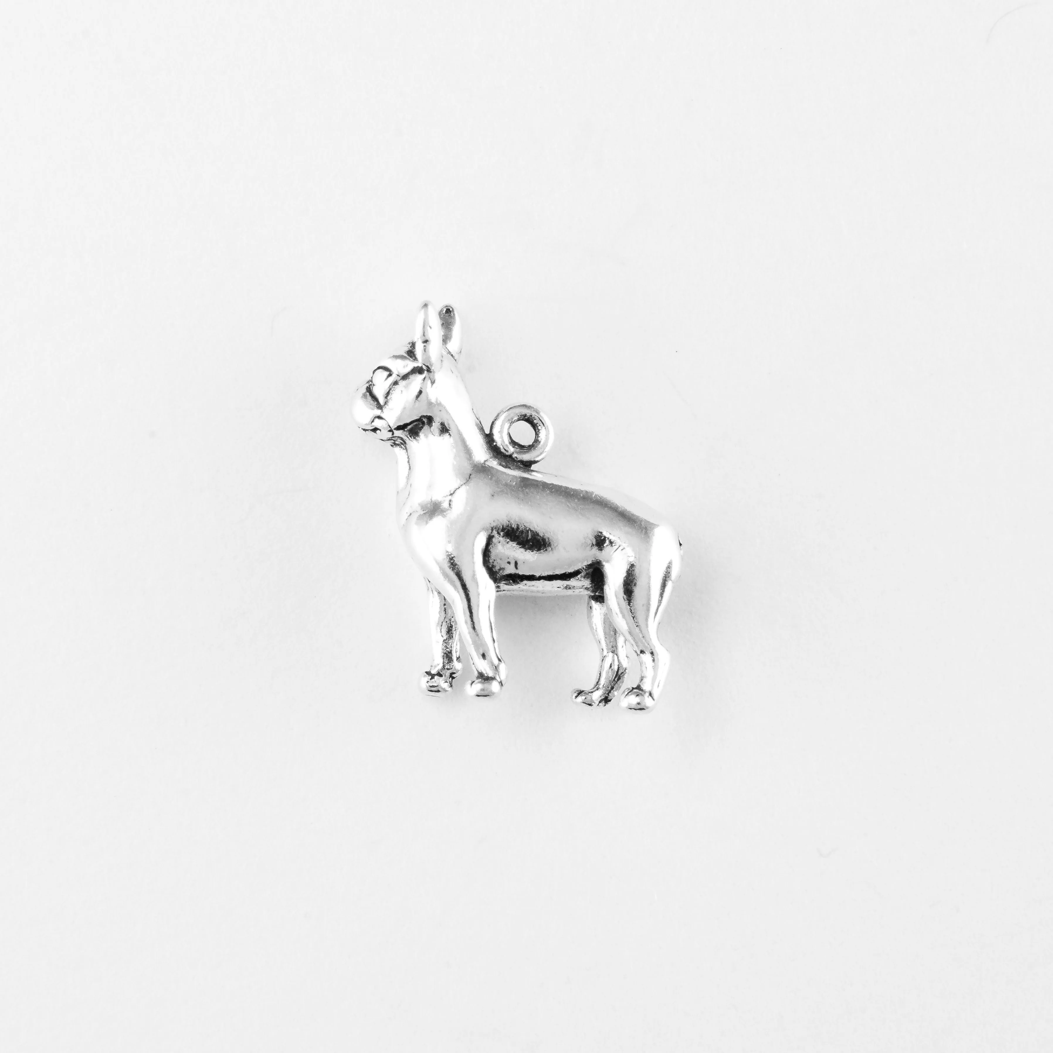 Boston Terrier, Body
