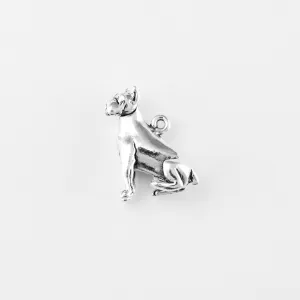 Boxer, Body