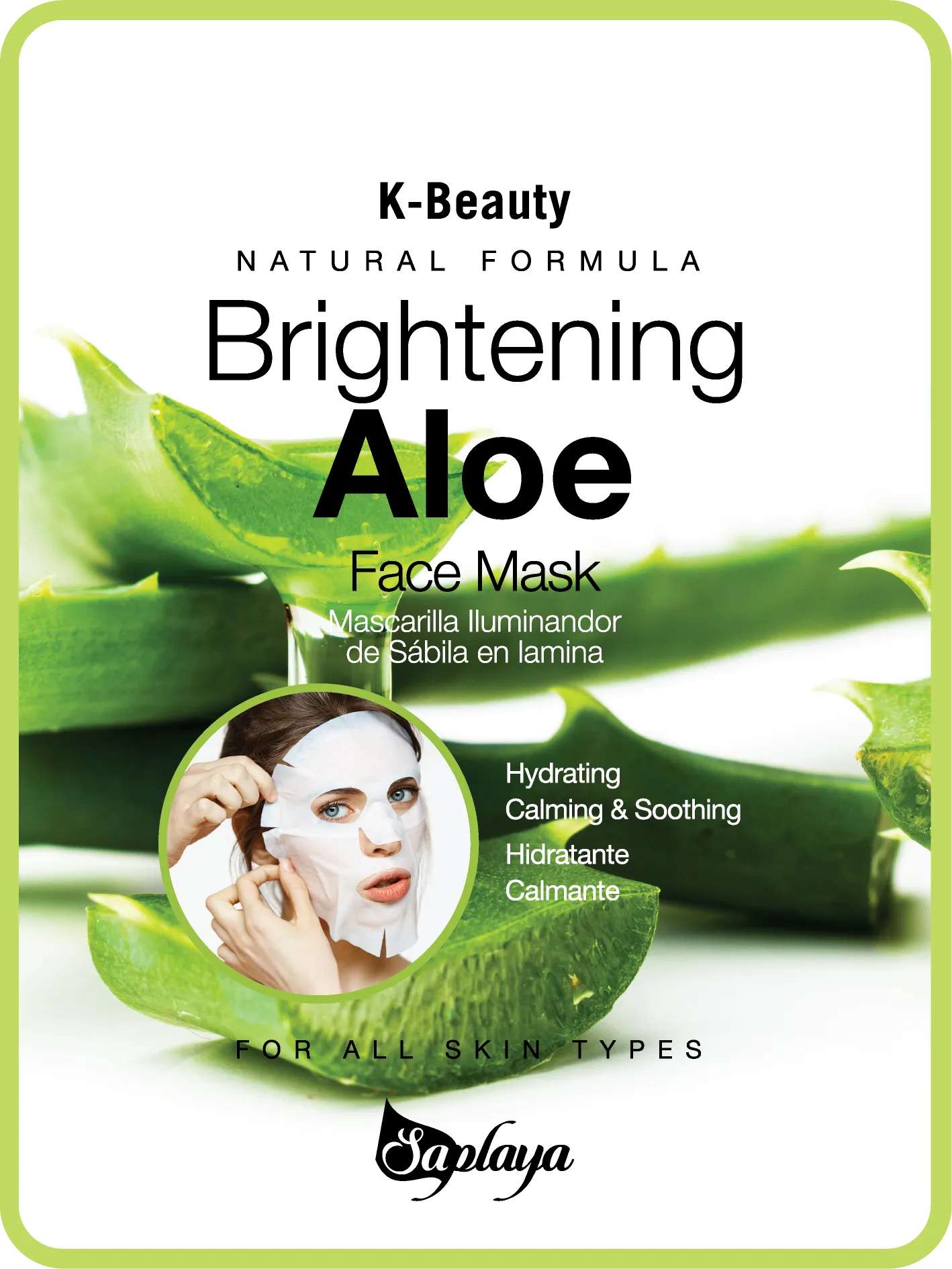 Brightening Aloe Daily Mask Sheet