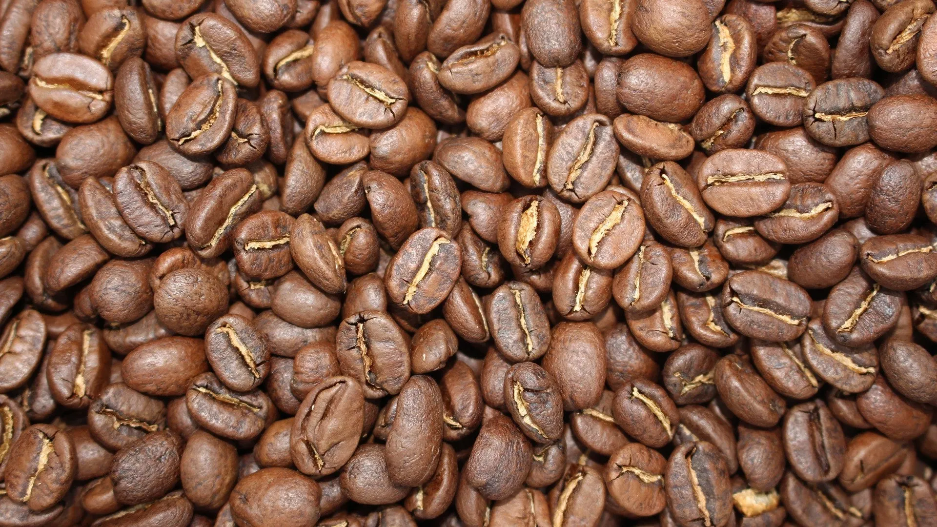 Broad St Brew- 1 LB Coffee Bag