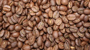 Broad St Brew- 1 LB Coffee Bag