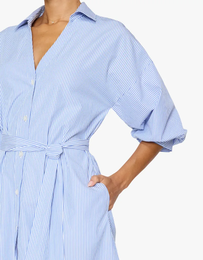 Brochu Walker Kate Belted Dress in Blue Stripes