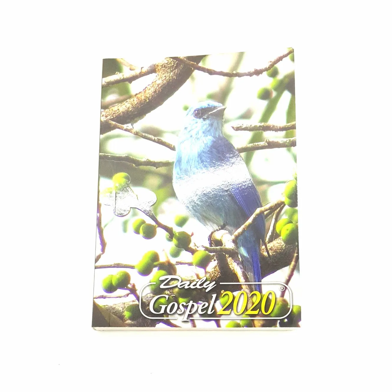 Claret Daily Gospel 2020