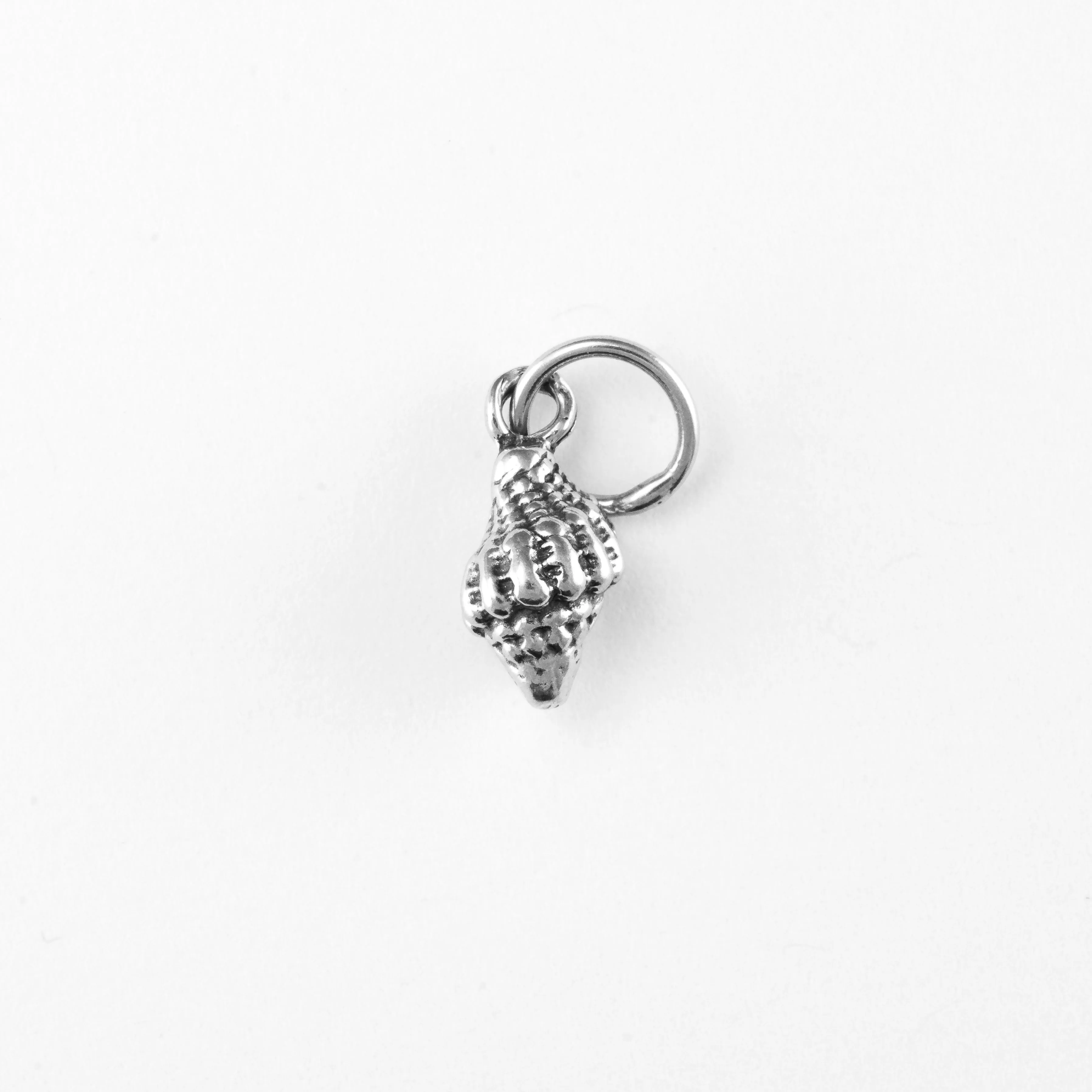 Conch Shell, Tiny