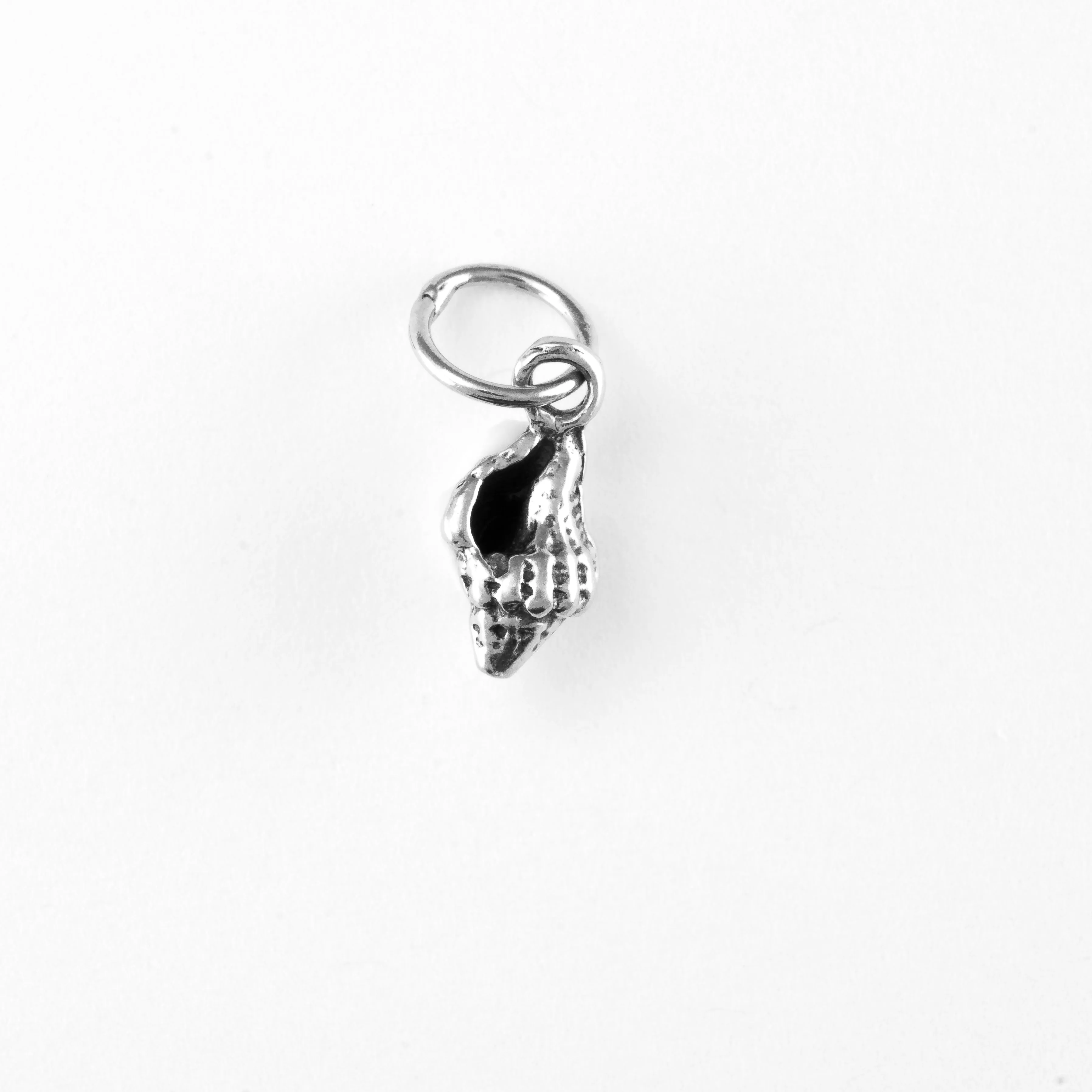 Conch Shell, Tiny