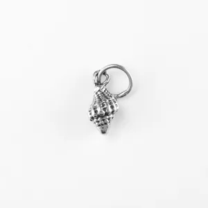 Conch Shell, Tiny