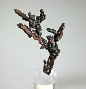 Copper, Pewabic Lode, Quincy Mine, Quincy Mining Company, Lake Superior Copper District, Michigan Miniature 1.7 x 4.5 x 7.5 cm $350. Online 11/19
