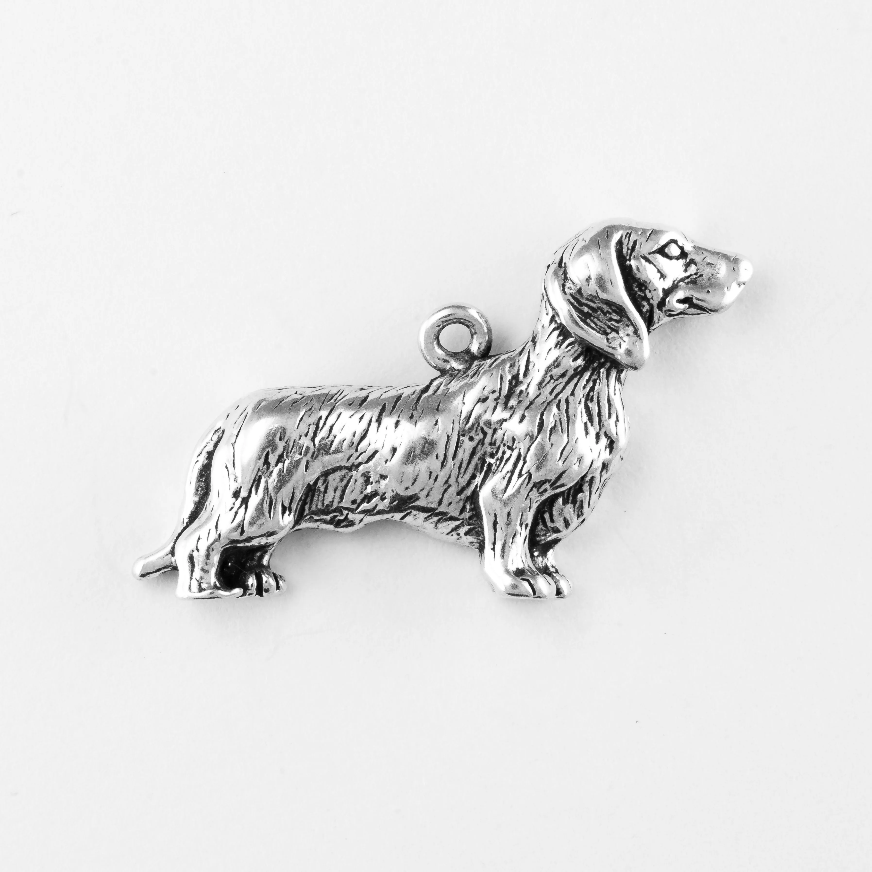 Dachshund, Long Haired