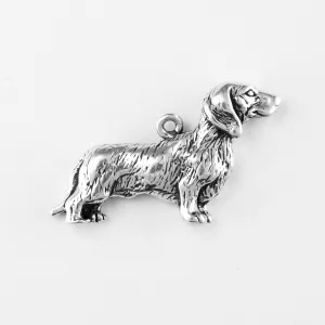 Dachshund, Long Haired