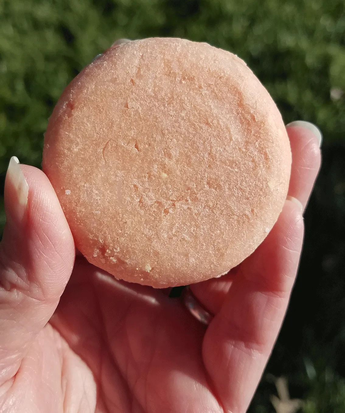 Daily Balance Shampoo Bar