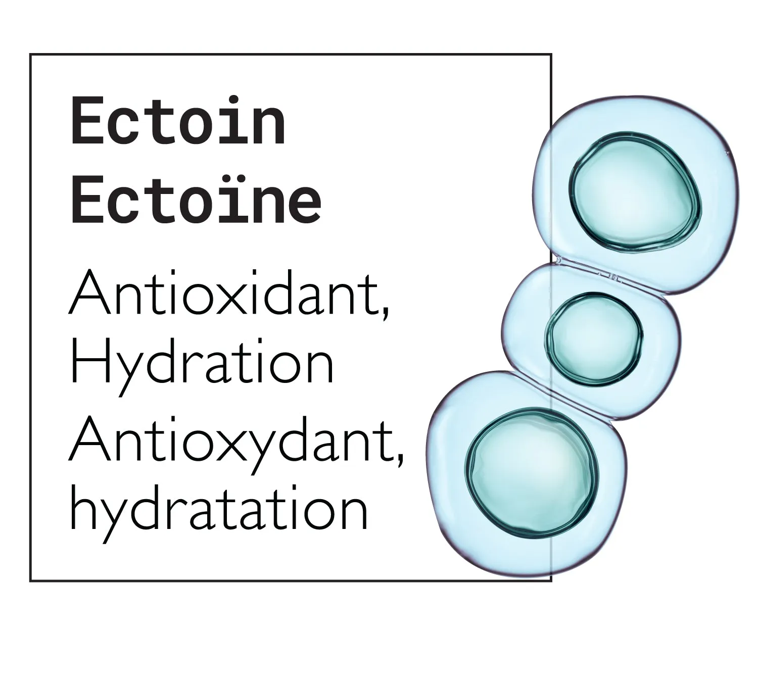 Daily Hydrating Serum