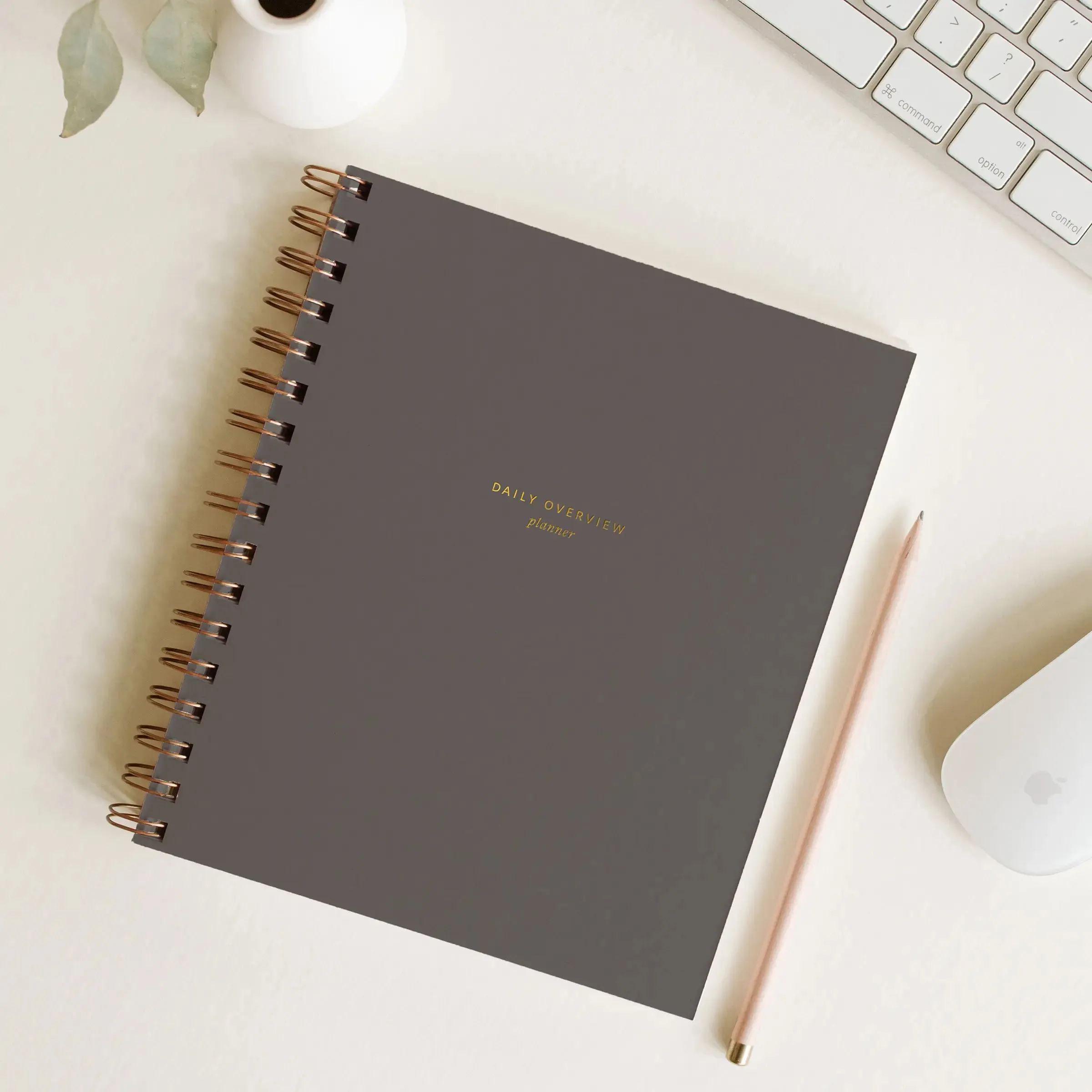 Daily Overview Planner