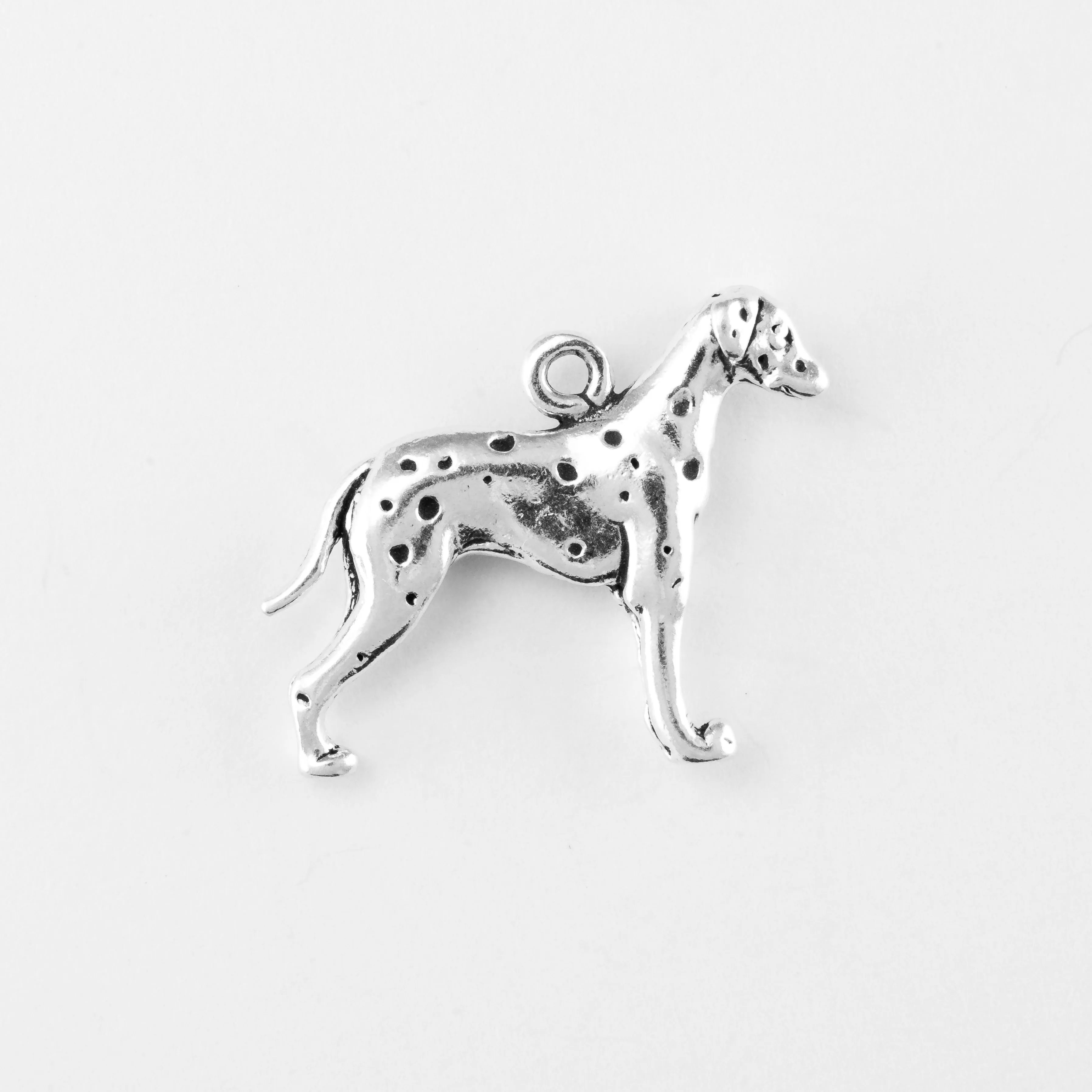 Dalmatian