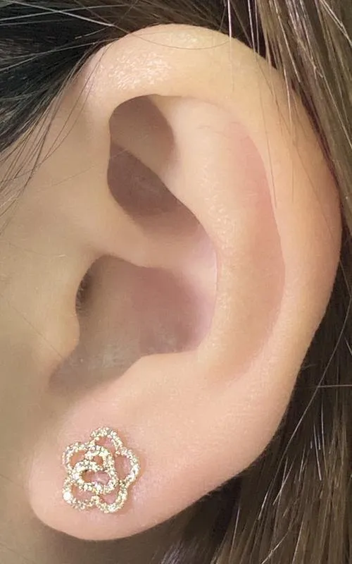 Diamond Earrings CE54