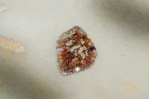 Diamond Slice