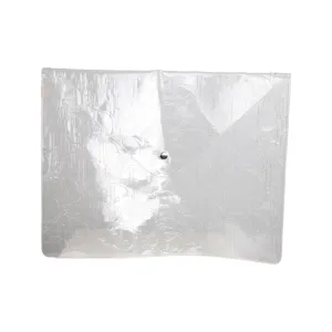 Dior Clear Logo Clutch