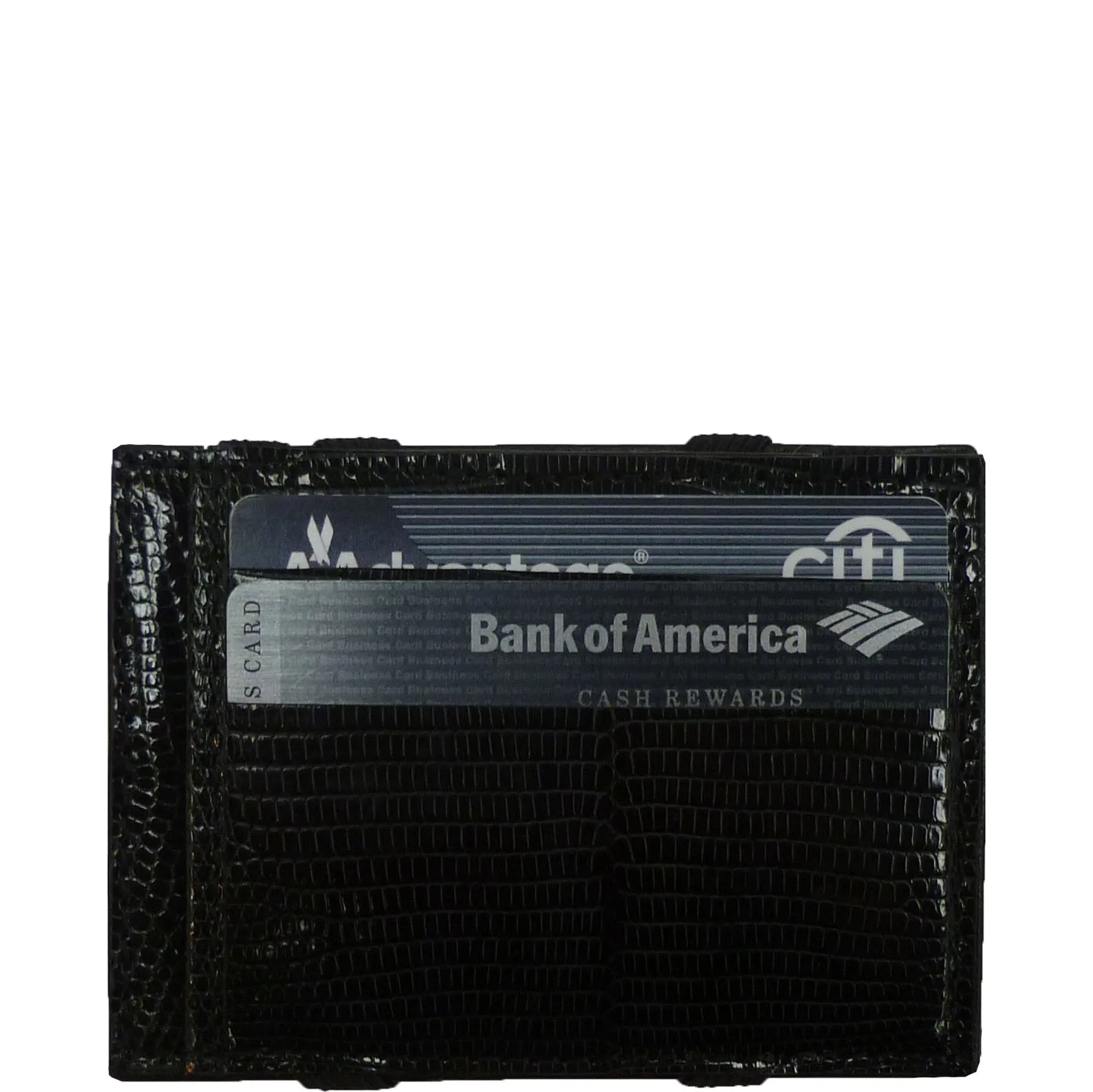 Easy Money Wallet in Lizard