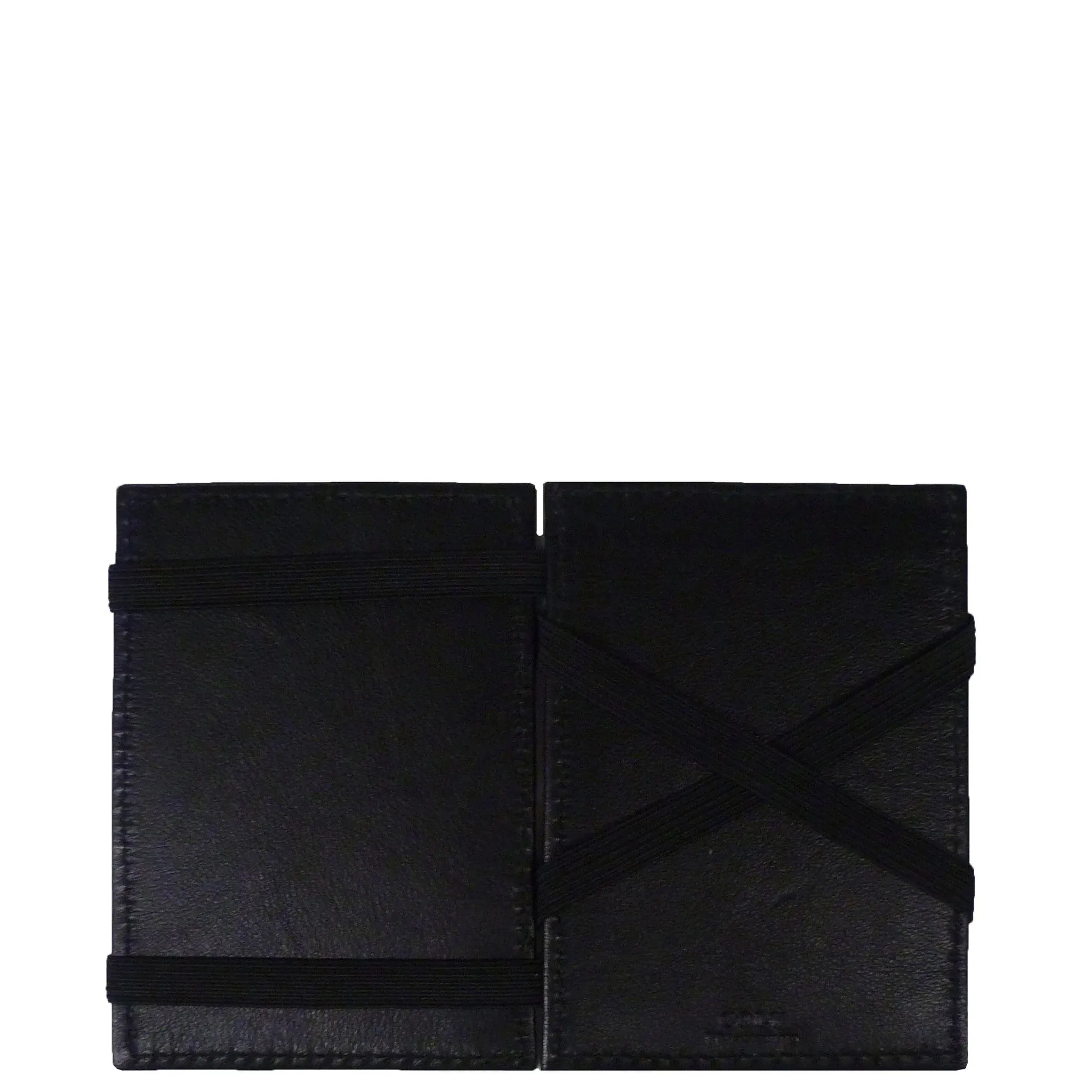 Easy Money Wallet in Lizard