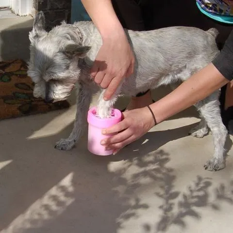 Easy Pet Paws Cleaner