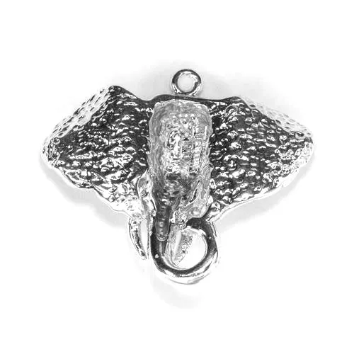 Elephant, Head