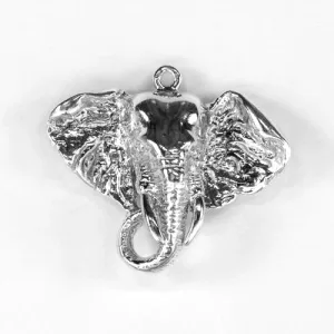 Elephant, Head