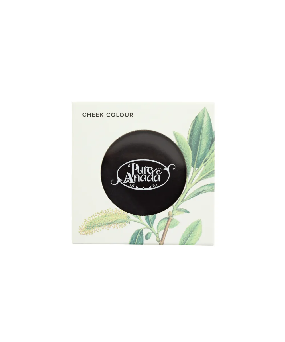 Empty Blush Compact