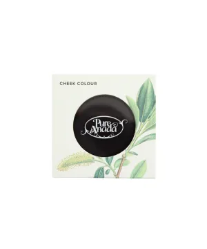 Empty Blush Compact
