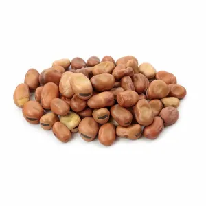 Fava Beans / Broad Beans