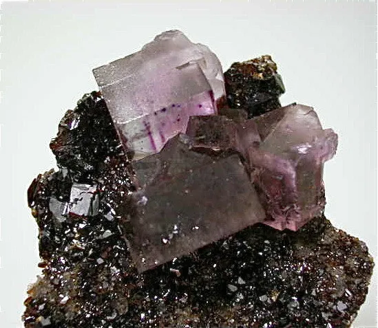 Fluorite on Sphalerite, Hardin County, Southern Illinois attr: Hill-Ledford Mine, Ozark-Mahoning Company, Cave-in-Rock District Miniature 2.5 x 4 x 5 cm $150. Online 9/30 SOLD
