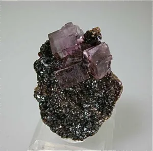 Fluorite on Sphalerite, Hardin County, Southern Illinois attr: Hill-Ledford Mine, Ozark-Mahoning Company, Cave-in-Rock District Miniature 2.5 x 4 x 5 cm $150. Online 9/30 SOLD
