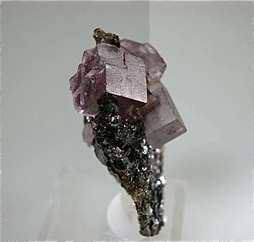 Fluorite on Sphalerite, Hardin County, Southern Illinois attr: Hill-Ledford Mine, Ozark-Mahoning Company, Cave-in-Rock District Miniature 2.5 x 4 x 5 cm $150. Online 9/30 SOLD