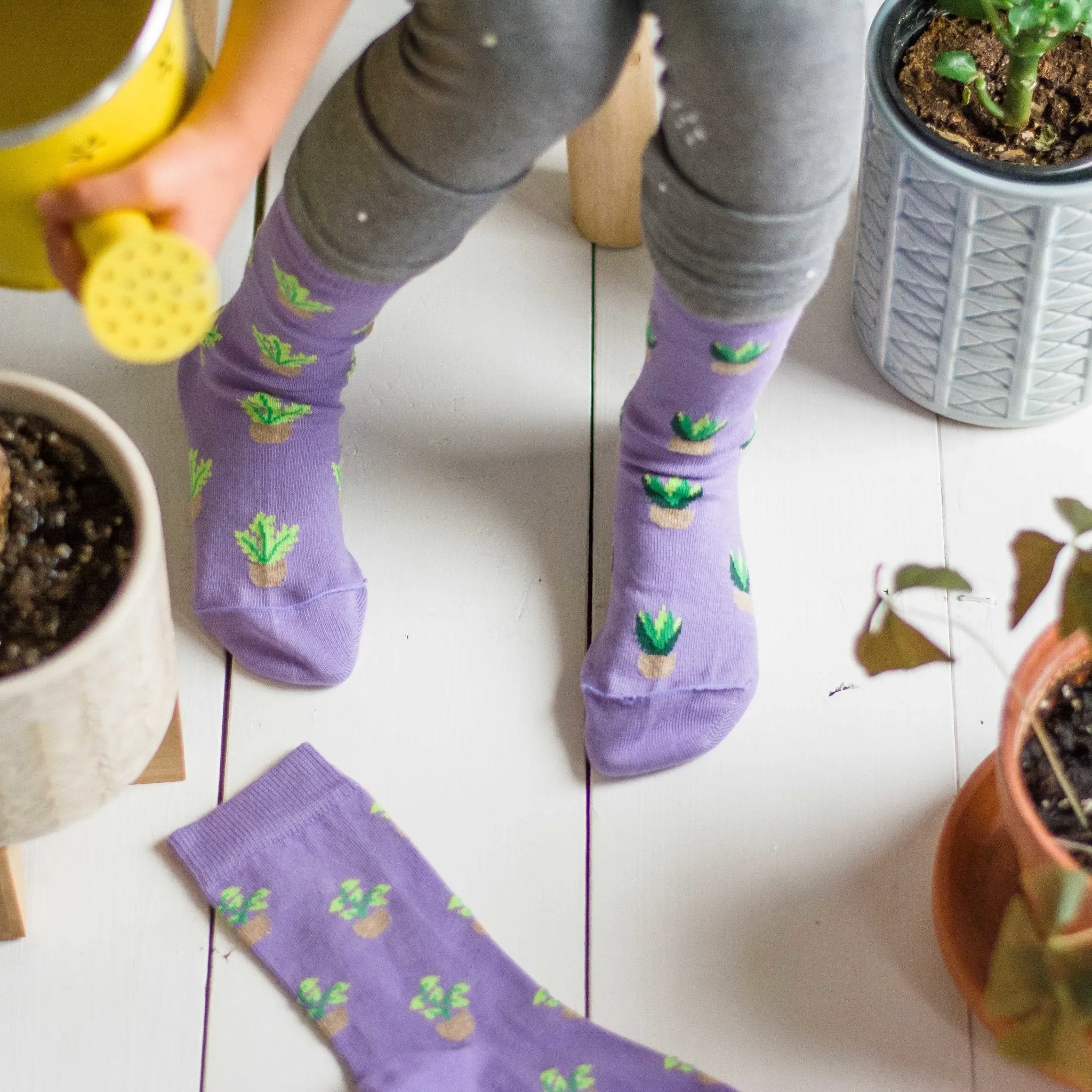 FRIDAY SOCK CO - Kid's Plant Socks