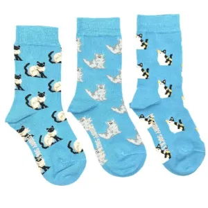 FRIDAY SOCK CO - Kid's Three Cat Socks