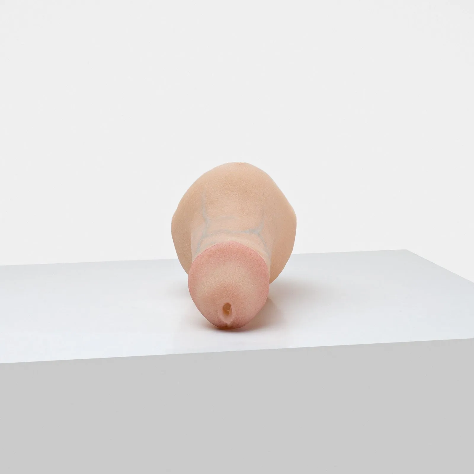 FTM STP - Compact