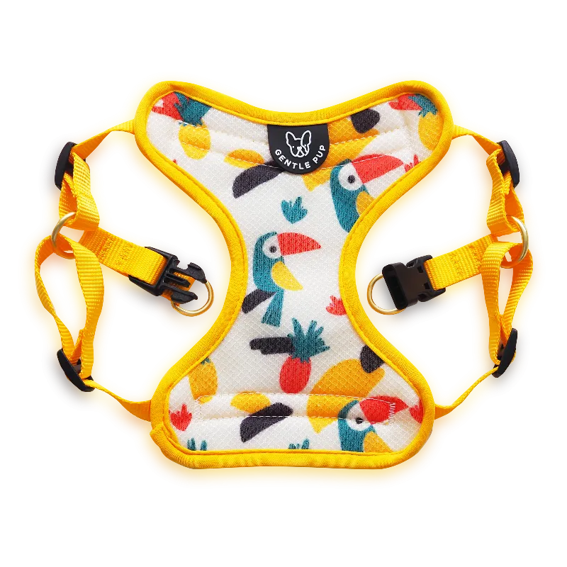 Gentle Pup - Aloha Alice Easy Harness