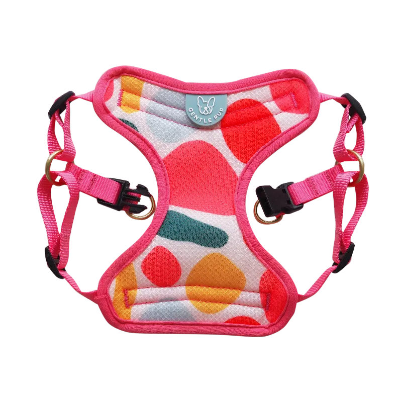Gentle Pup - Candy Callie Easy Harness