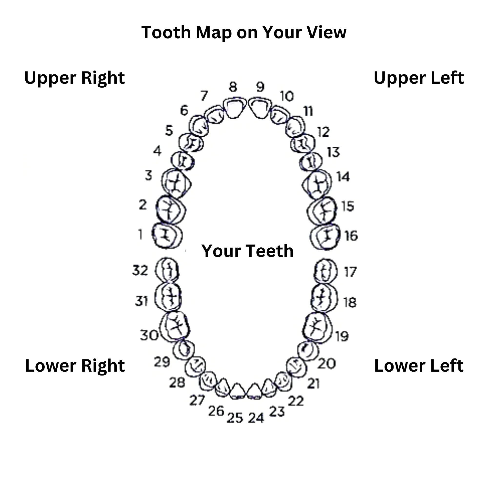 Grillz bold star open face