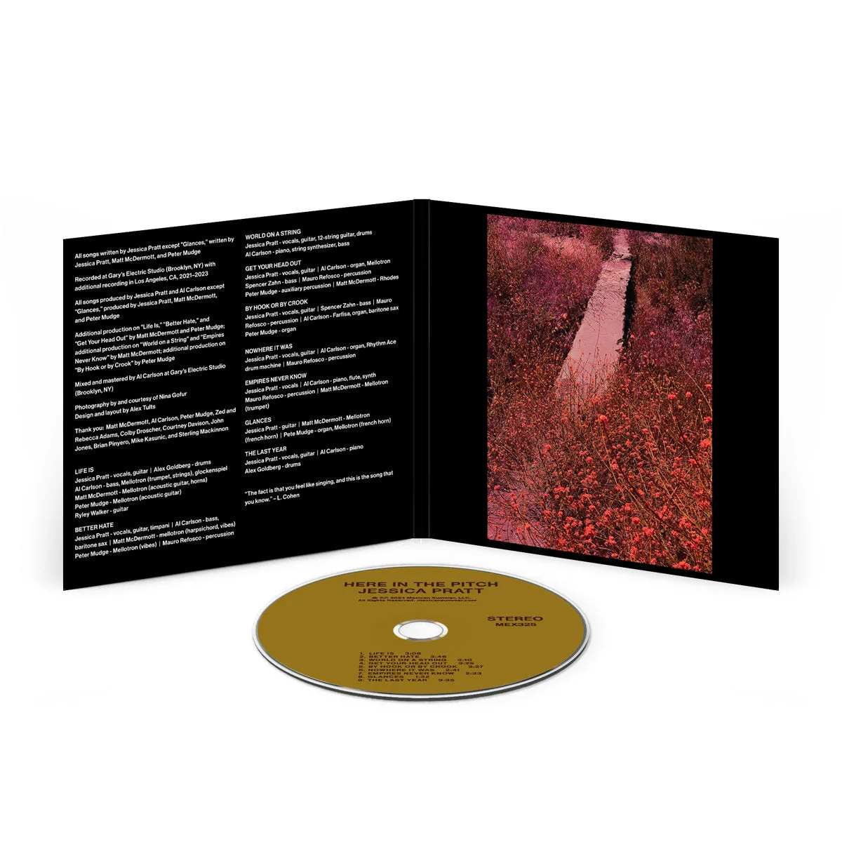 Here in the Pitch [CD]