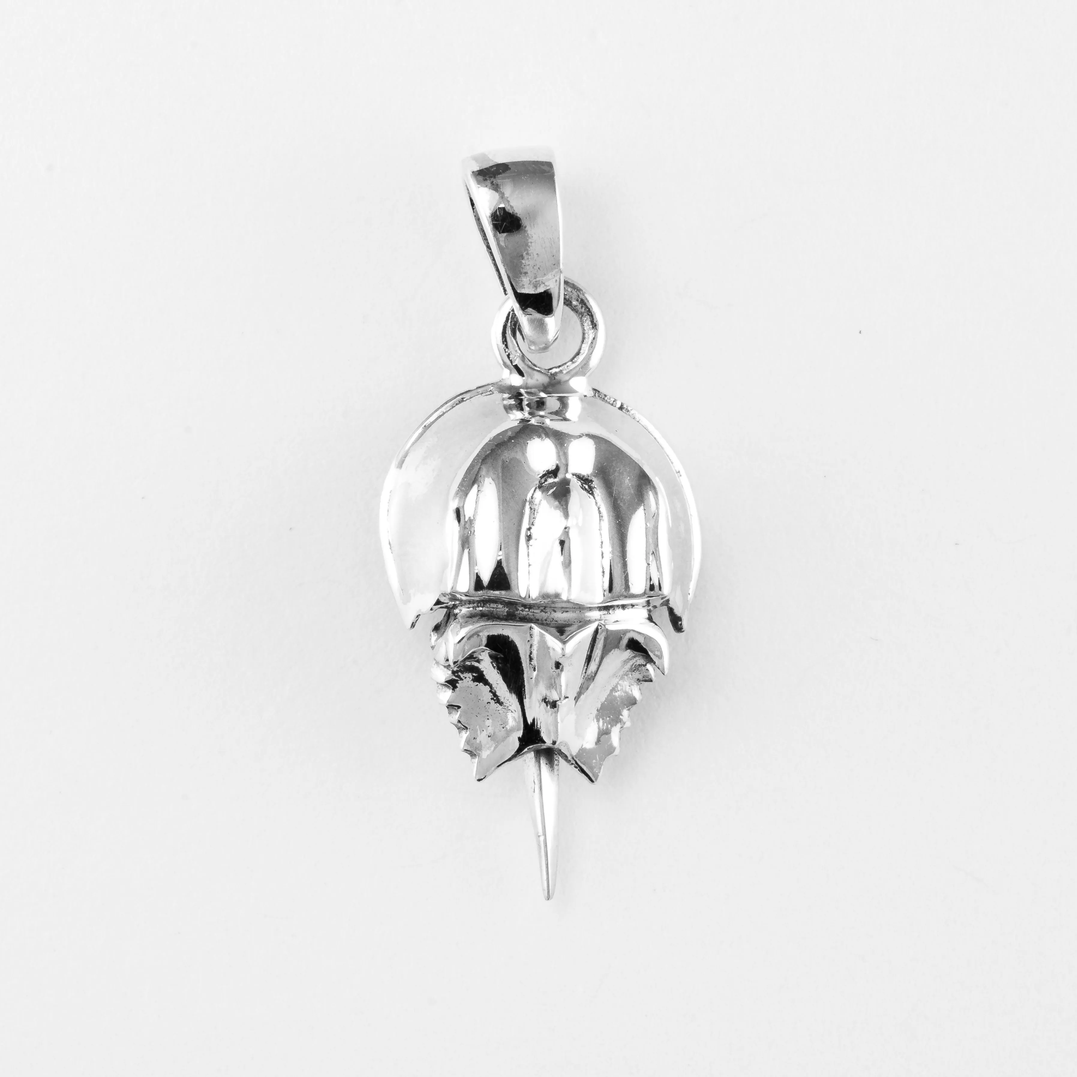 Horseshoe Crab, Sm