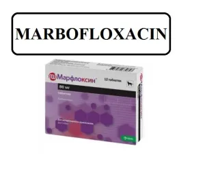 Marfox for Dogs 5mg/80mg