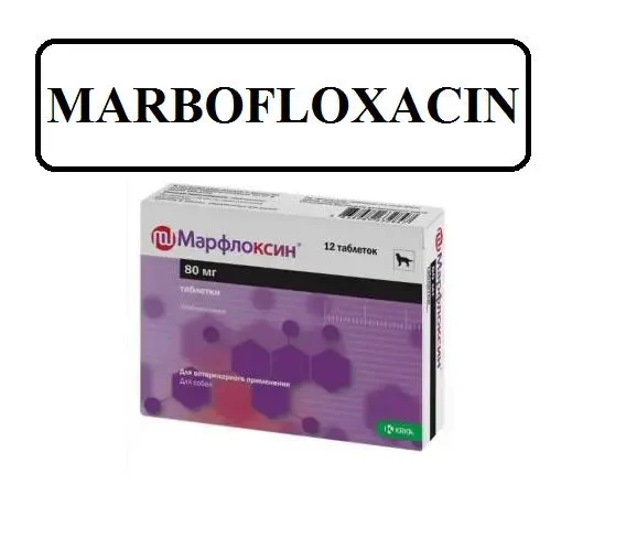 Marfox for Dogs 5mg/80mg