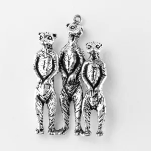 Meerkat Family
